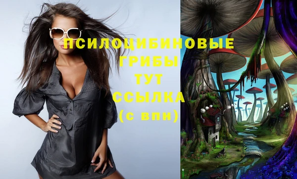 ГАЛЛЮЦИНОГЕННЫЕ ГРИБЫ Белокуриха