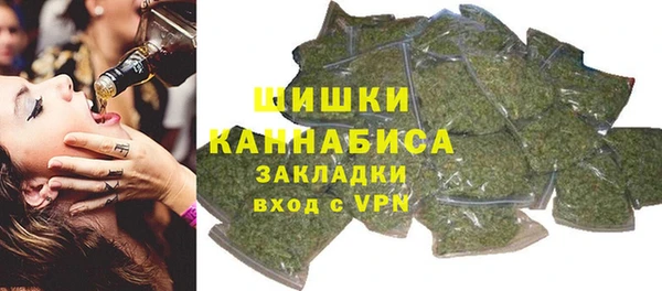 ГАЛЛЮЦИНОГЕННЫЕ ГРИБЫ Белокуриха