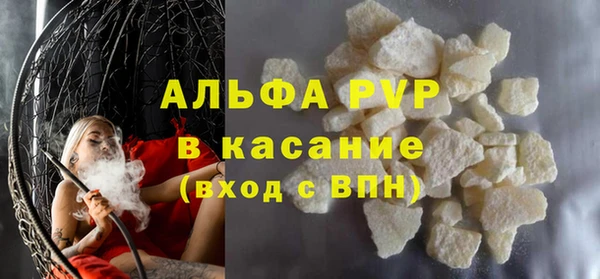 ГАЛЛЮЦИНОГЕННЫЕ ГРИБЫ Белокуриха